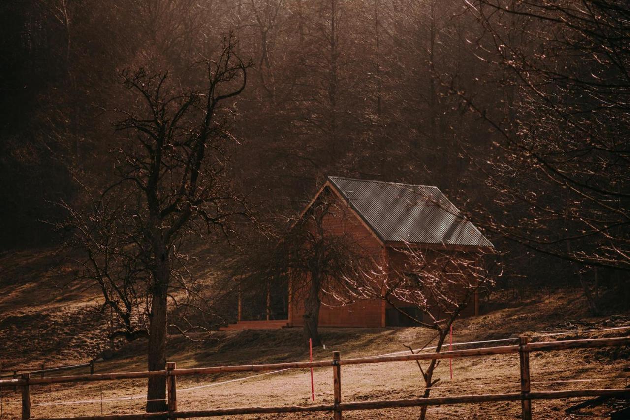 Osada Krasne - Noclegi Blisko Natury Bukowiec  ภายนอก รูปภาพ