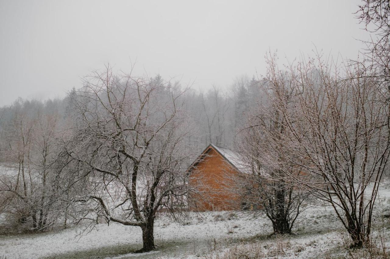 Osada Krasne - Noclegi Blisko Natury Bukowiec  ภายนอก รูปภาพ