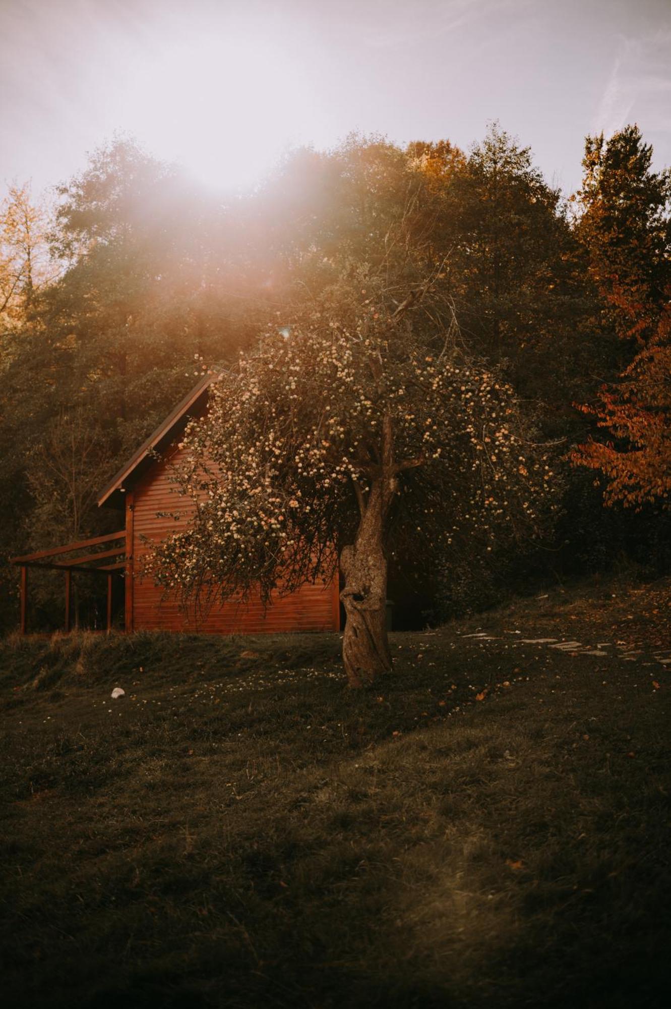 Osada Krasne - Noclegi Blisko Natury Bukowiec  ภายนอก รูปภาพ